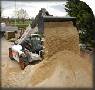 bobcat