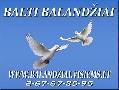BALTI BALANDZIAI vestuvems - geriausia dovana skelbimai